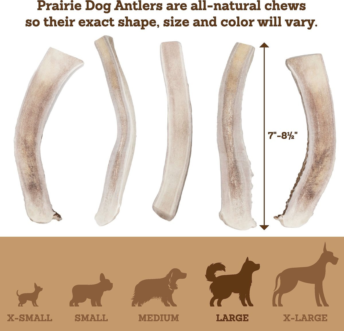 Prairie Dog Split Deer Antler Dog Chew， 7.5 - 8.5 inch