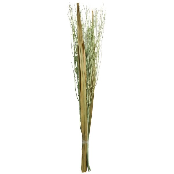 Green Dried Plant Handmade Tall Floral Bouquet Branch Natural Foliage with Grass Stems