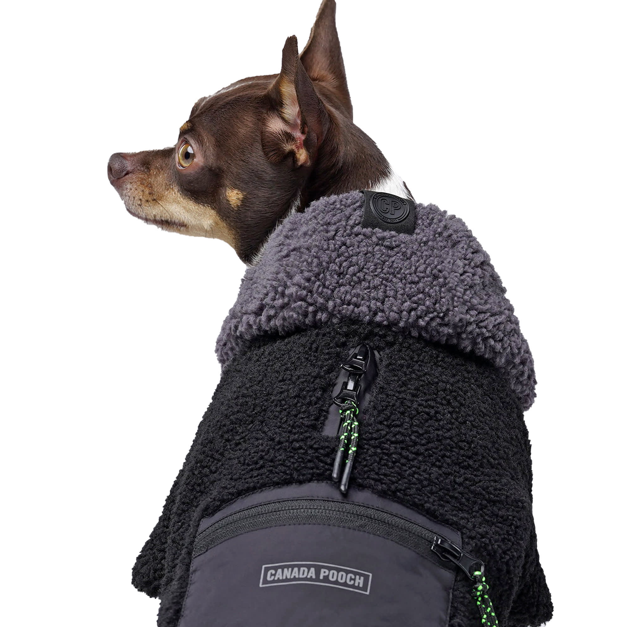 Canada Pooch Cool Factor Dog Hoodie Black and Grey Size 8， 3X-Small