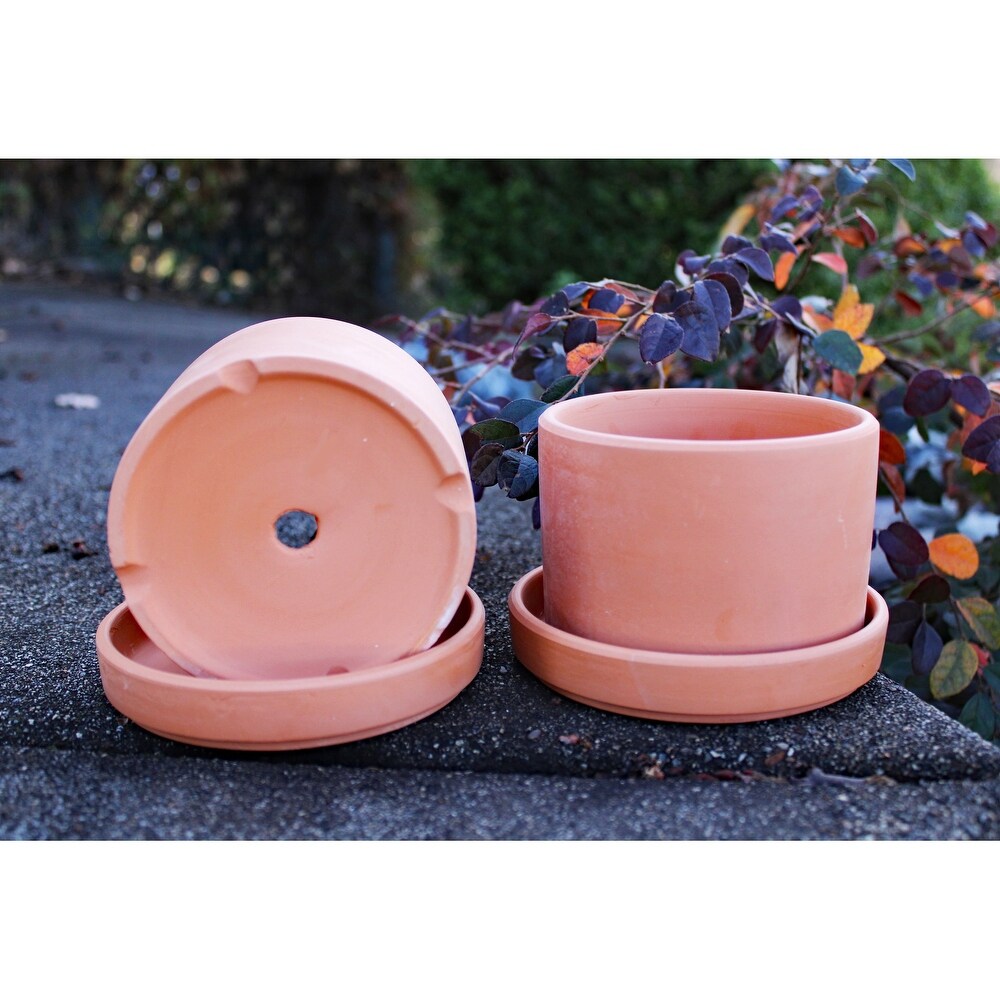 Set of 2 Terracotta Round Fat Walled Garden Planters with Individual Trays  2 SIZES AVILABLE