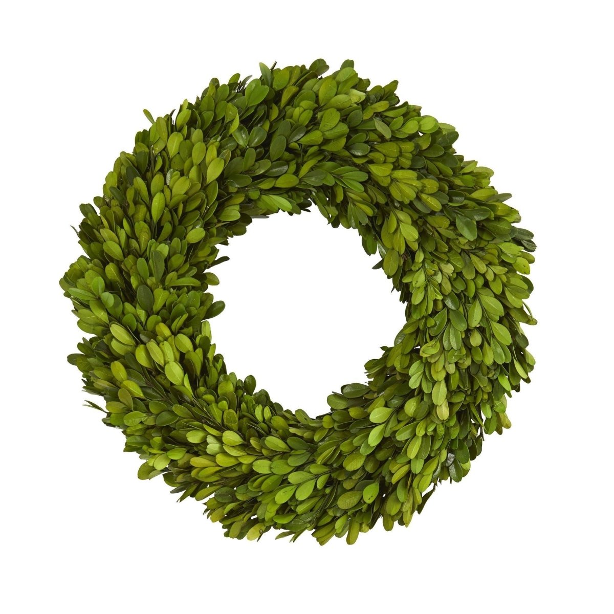 14” Preserved Boxwood Wreath – Elegant Year-Round Greenery