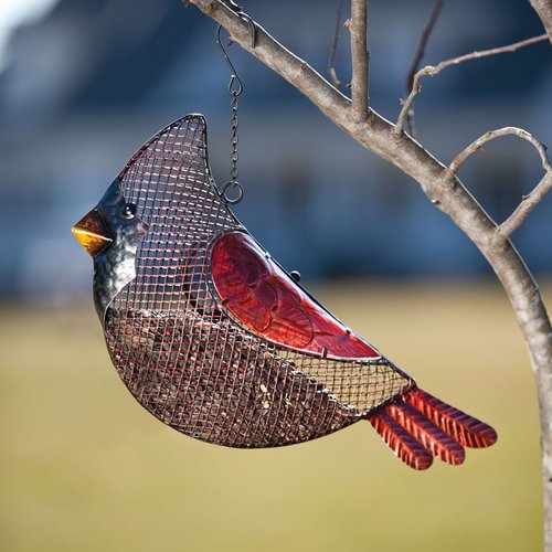 Evergreen Enterprises， Inc Cardinal Seed Decorative Bird Feeder