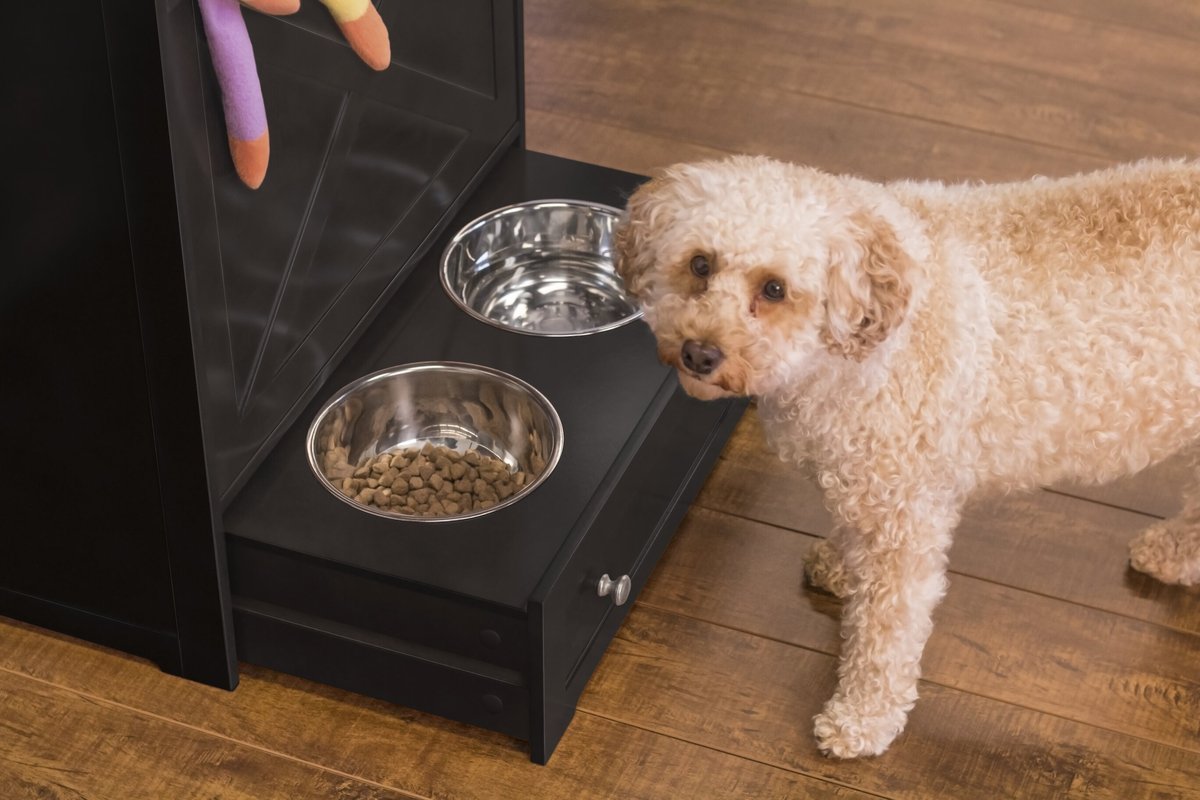 ZooVilla Windsor Elevated Dog and Cat Bowls and Storage