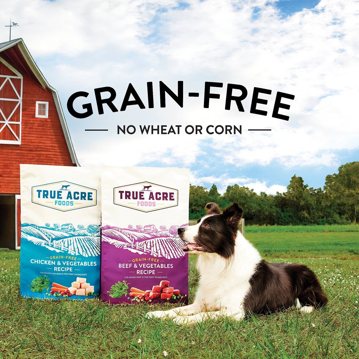 True Acre Foods Grain-Free Beef and Vegetable Dry Dog Food