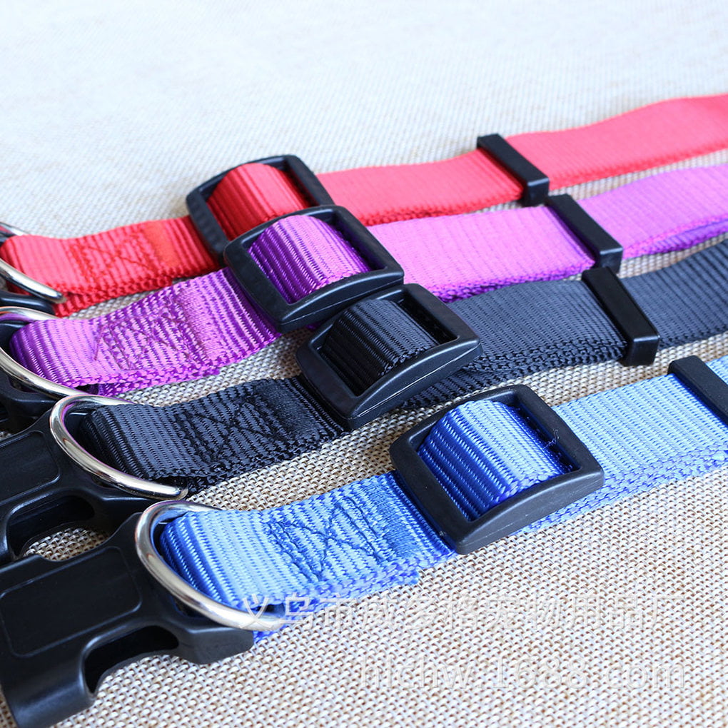 Solid Color Personalized Pet Leash Anti\-Lost/Avoid Car For Small Medium Large Dogs Supplies Pet Products