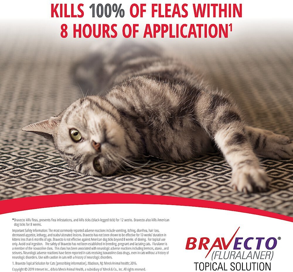 Bravecto Topical Solution for Cats， 6.2-13.8 lbs， (Blue Box)