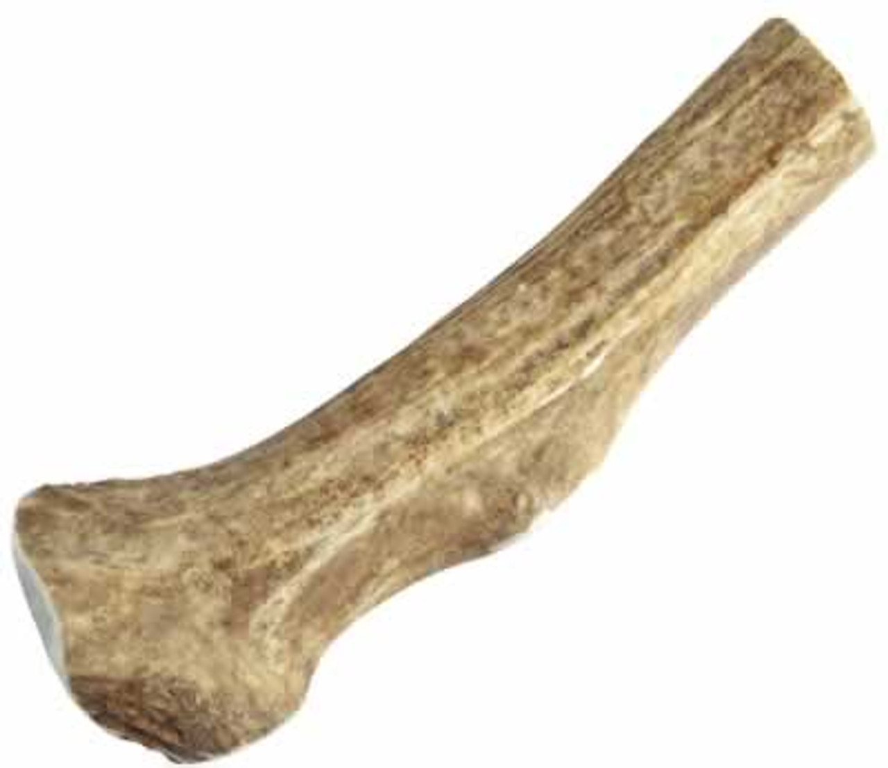 Happy Dog of Cape Cod Sliced Elk Antler， Jumbo