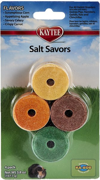 Kaytee Mini Salt Savors Small Pet Treats， 4 count