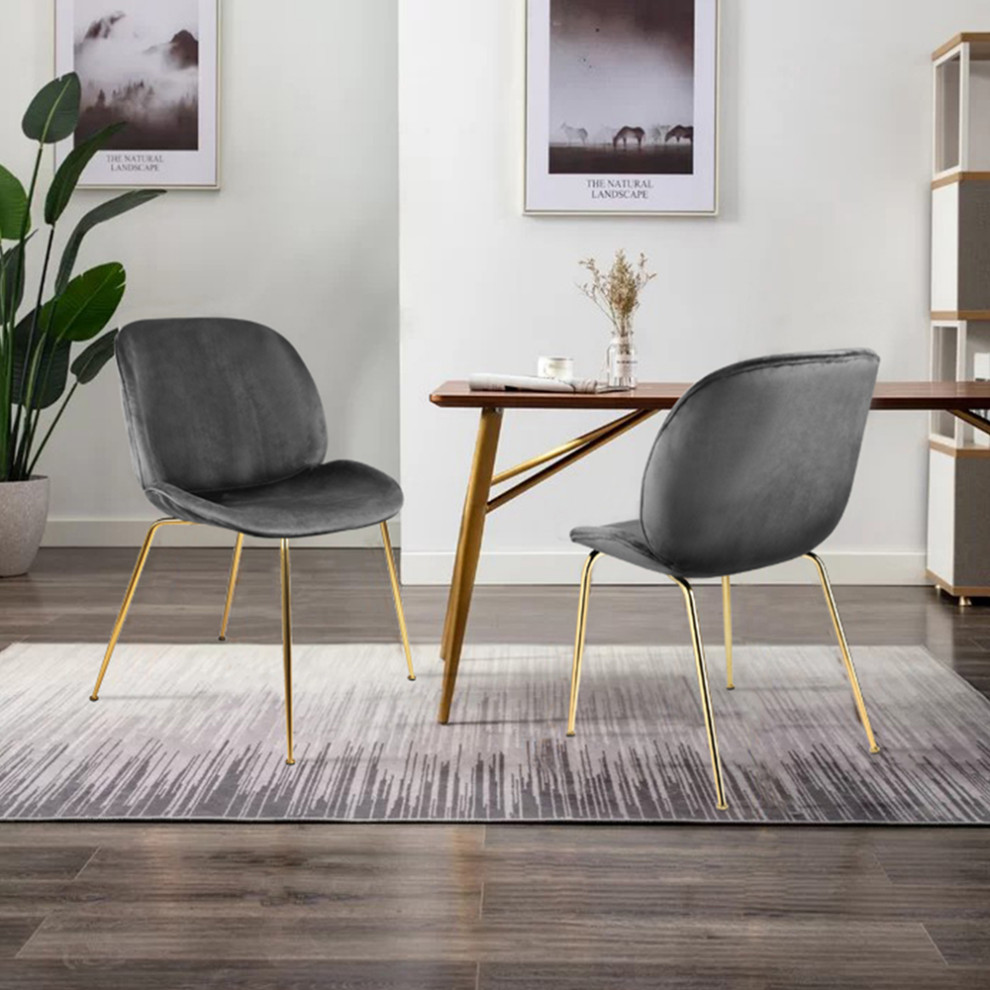 Dark Gray Velvet Shell Dining Chairs With Gold Legs  Set of 2   Midcentury   Dining Chairs   by specialty imports  Houzz