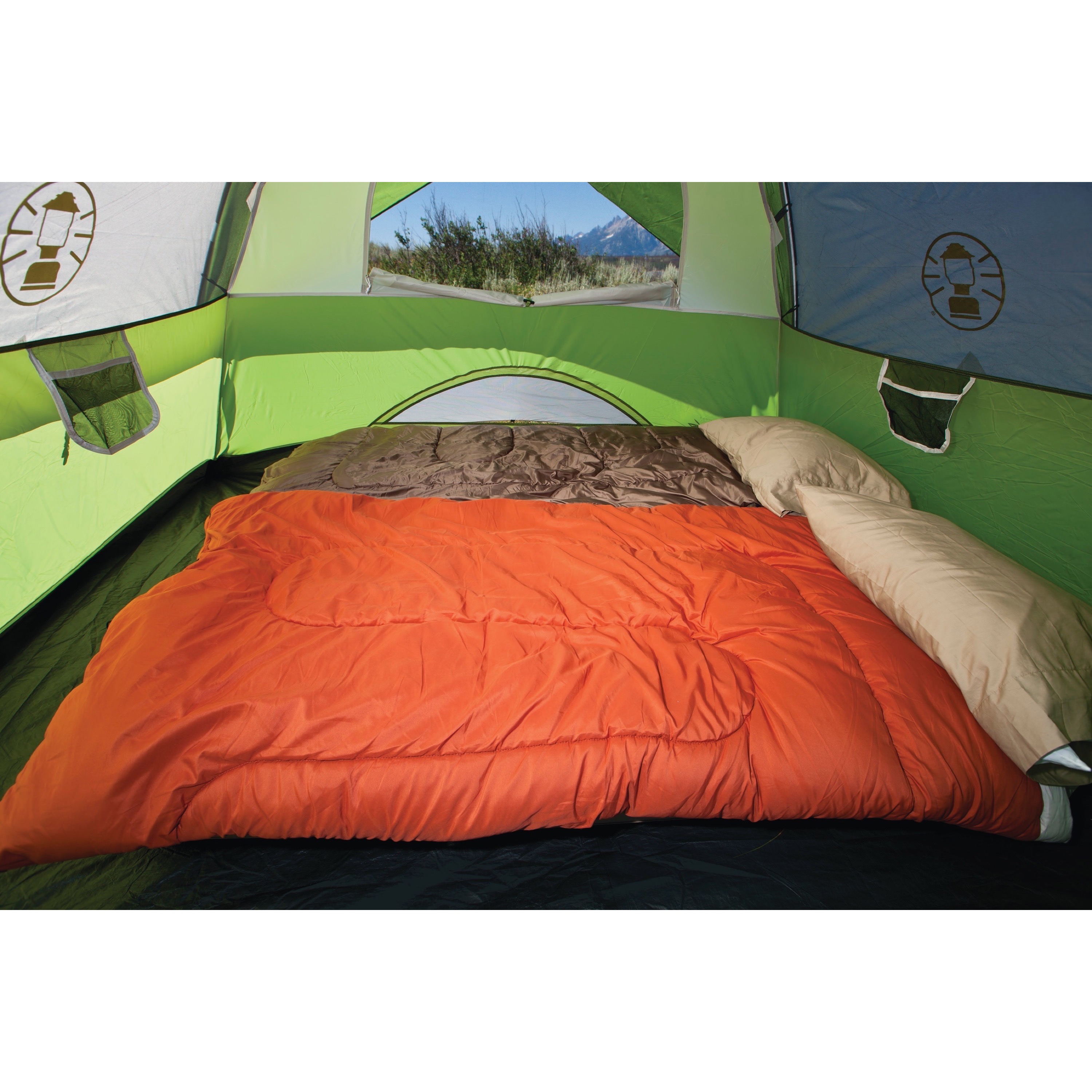 Coleman® 6-Person Sundome® Dome Camping Tent， 1 Room， Green