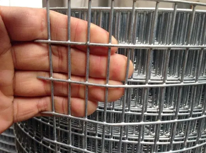 Factory Supply 12x3x100 12.5x12.5 chicken pens and Hot Dipped Galvanized Welded Wire Mesh Cage