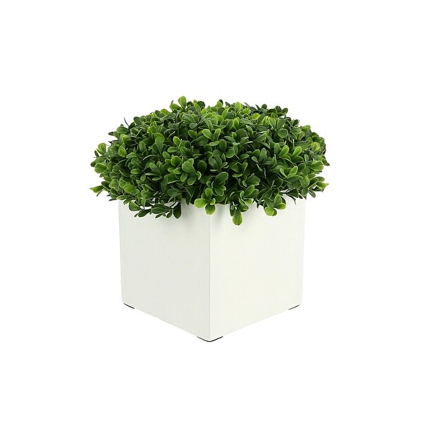 UV Rated Outdoor Boxwood in a Square Fiberstone Pot