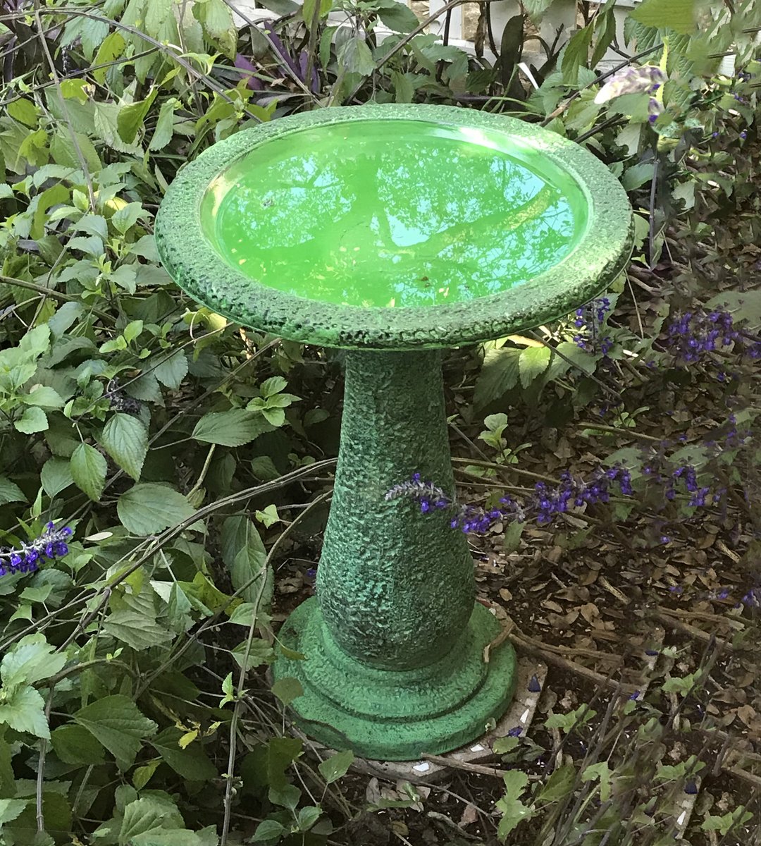 Exaco Bird Bath， 1.3-gal