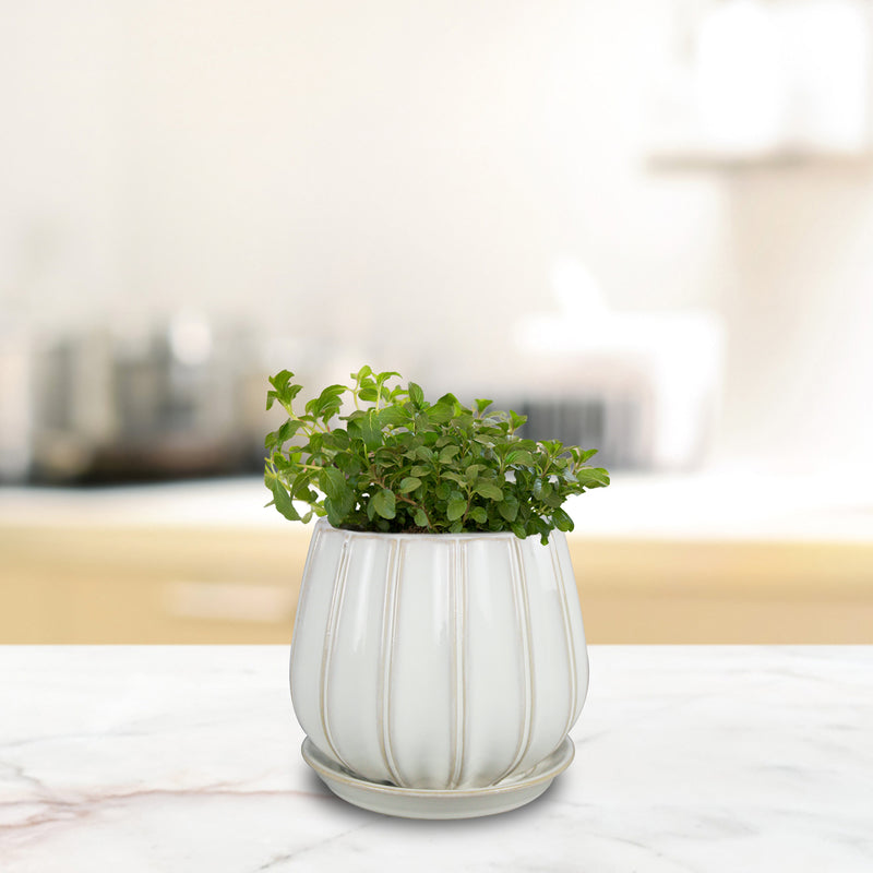 PLANTER CONTOUR WHITE 6