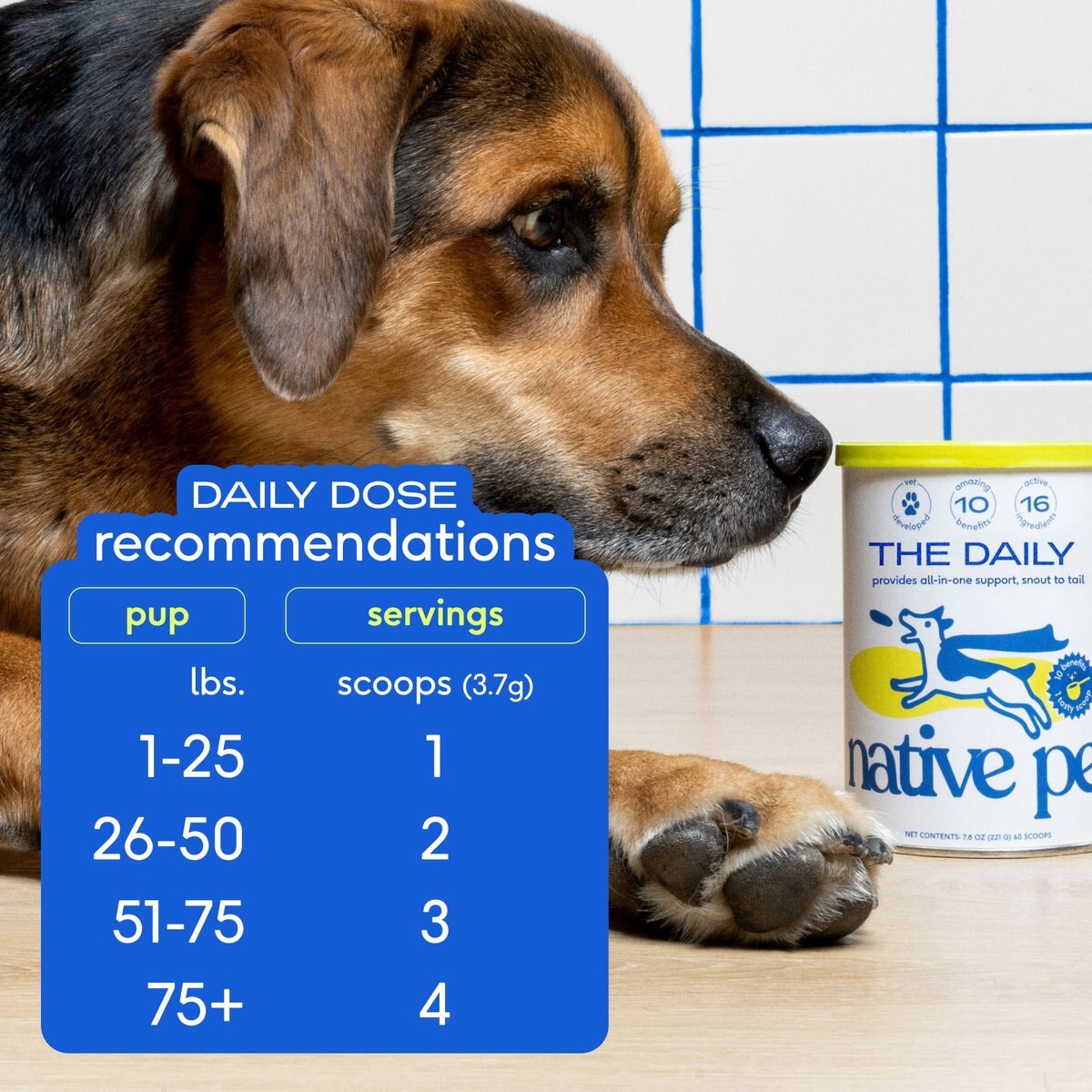 Native Pet The Daily Super Supplement for Dogs for Mobility， Energy， Gut， Skin and Coat