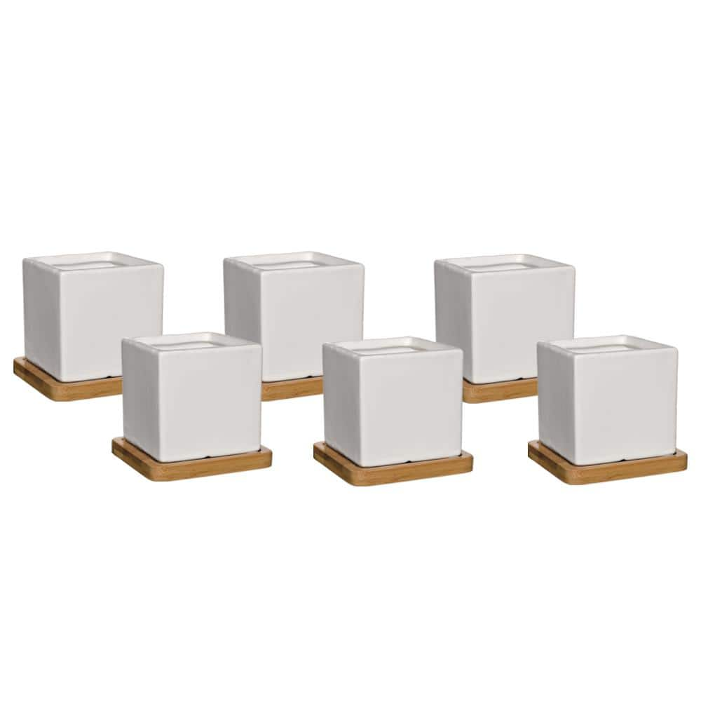 CHG CLASSIC HOME  GARDEN 3.5 in. Nova White Ceramic Planter with Tray (6-Pack) K90031