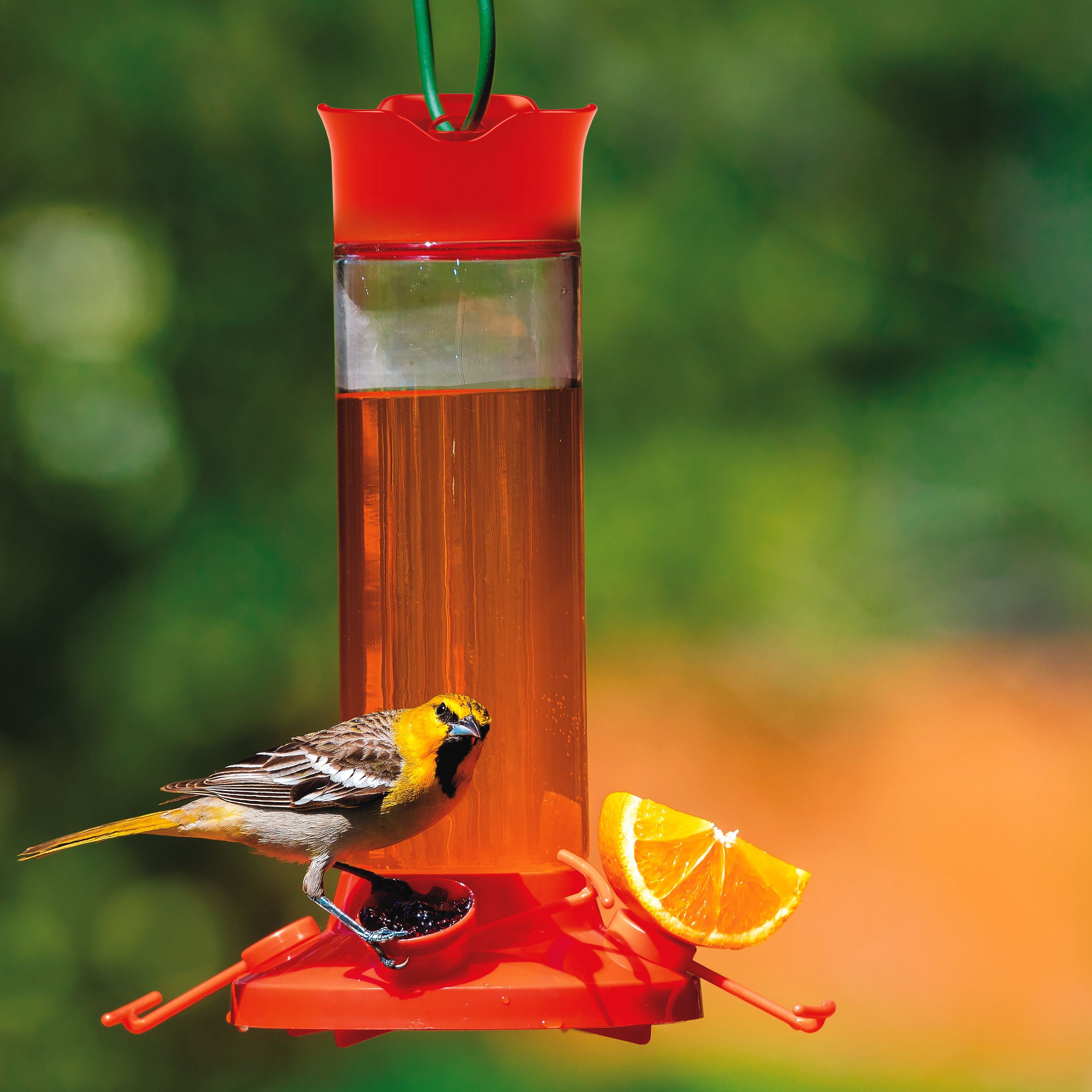 Perky Pet Fruit Trio Oriole Nectar Feeder - 30 oz