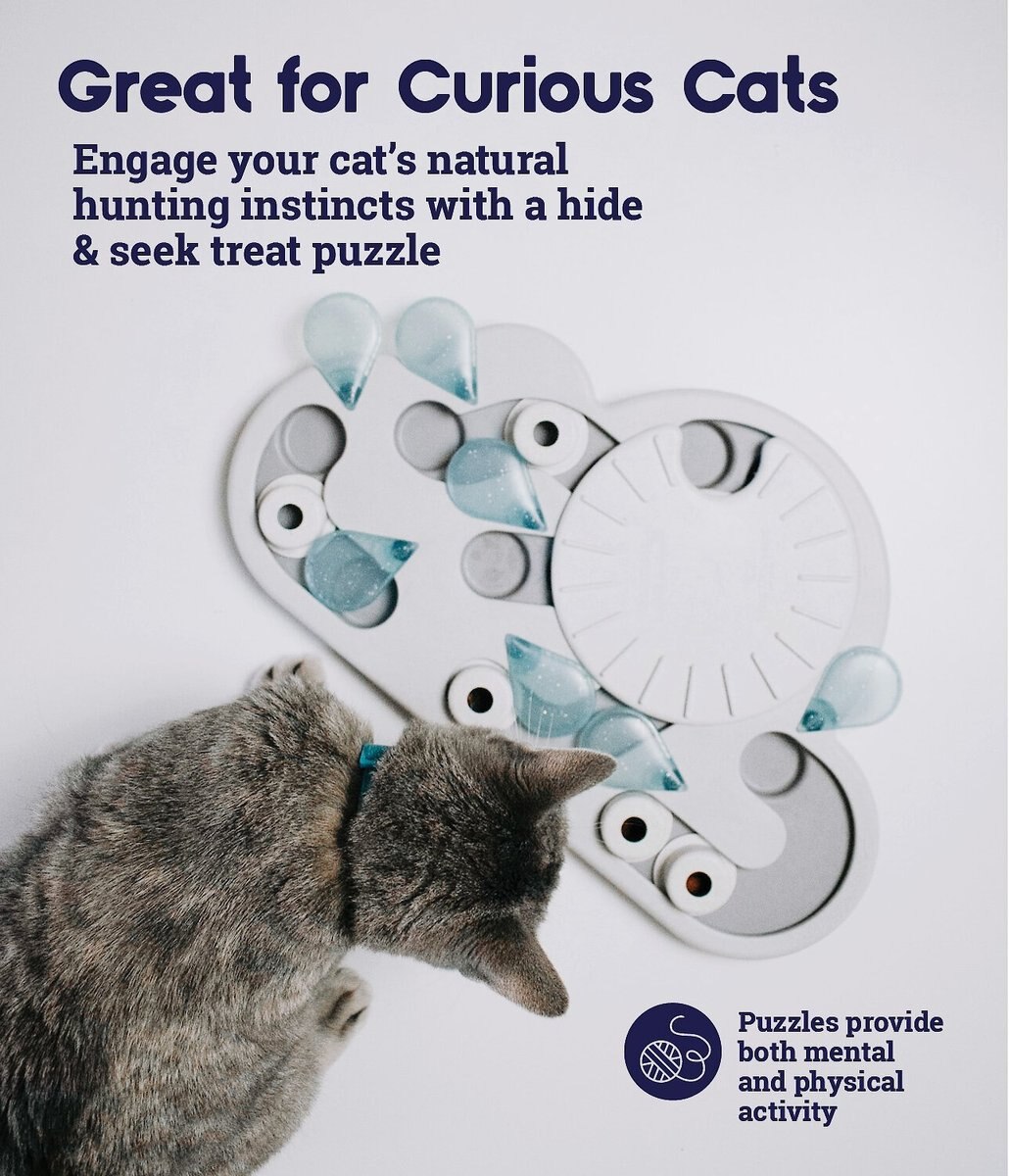 Nina Ottosson Petstages Buggin' Out Puzzle and Play Cat Toy