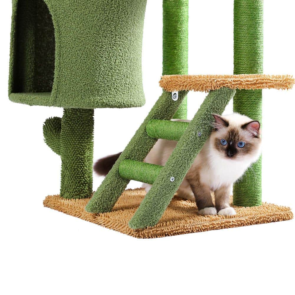 Foobrues Lovely Desert Cactus Cat Tree Ladder Multi Levels Condo PSL-23170864