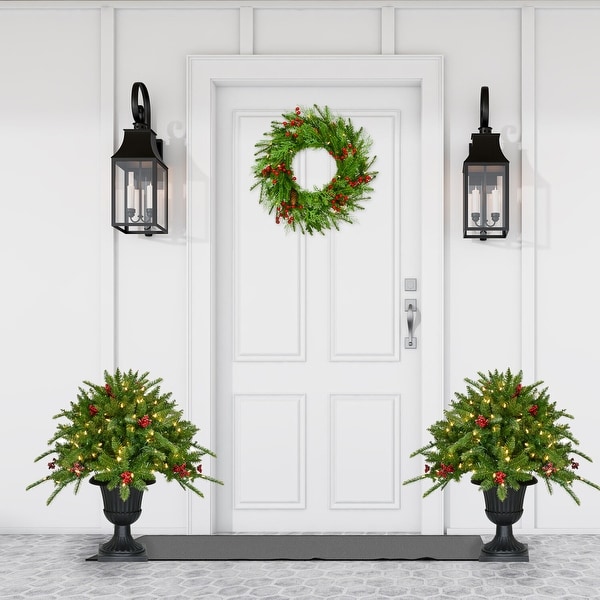 Fraser Hill Farm 3Ft. Porch Tree in Black Pot with Red Berries and Warm White Lights