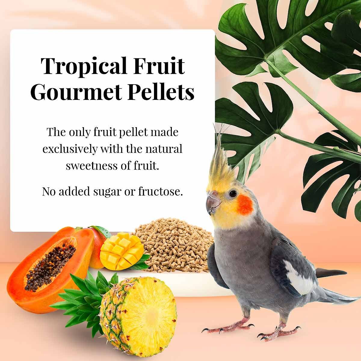 Lafeber Tropical Fruit Gourmet Pellets Cockatiel Bird Food