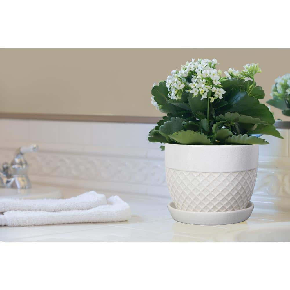 Vigoro 6 in. Delilah Small Glazed White Textured Ceramic Planter (6 in. D x 5 in. H) with Drainage Hole and Attached Saucer CR10732S-060W2