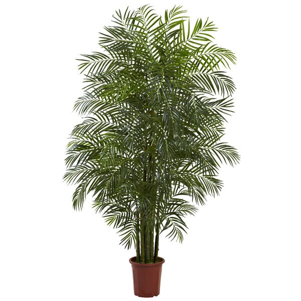 7.5foot Indoor/ Outdoor Areca Palm