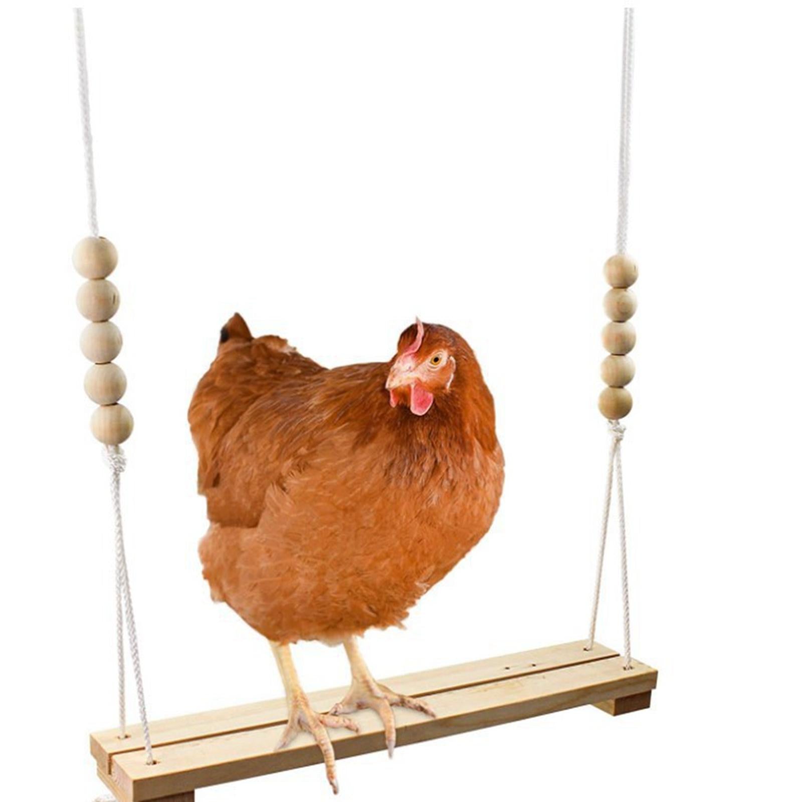 Wooden Chicken Swing Chicken Toys Chicken Coop Toys Birds Parrots Perch Exercise