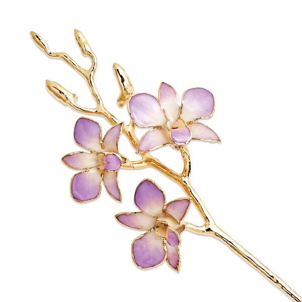 Curata Lacquer Dipped Gold Trimmed Lilac and White Real Orchid Stem