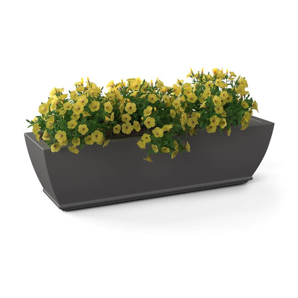 Mayne Acadia 36 in. x 11 in. Self-Watering Graphite Grey Polyethylene Window Box 5917-GRG