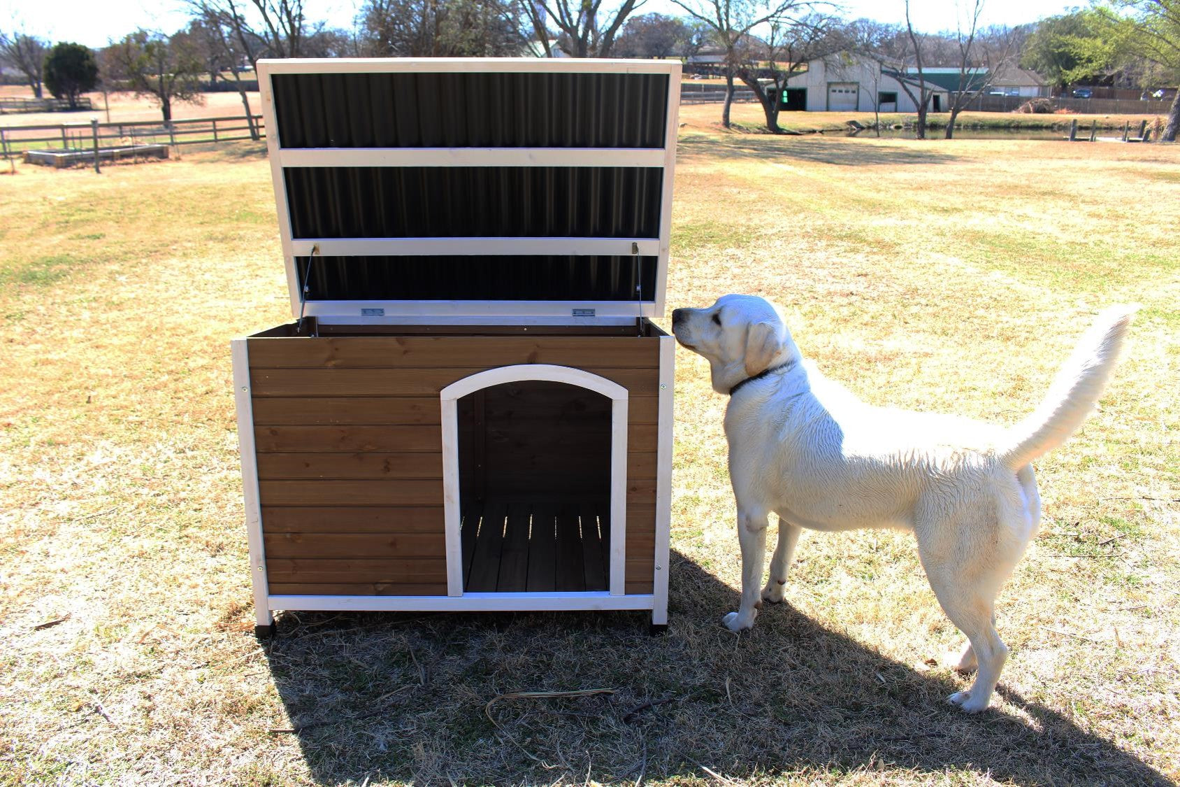 Zylina Log Cabin Wooden Dog House with PVC Roof 46