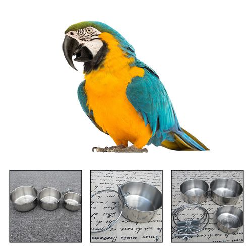 AkoaDa Bird Feeding Dish Cups， Parrot Food Bowl Clamp Holder - Stainless Steel Coop Cup， Bird Cage Water Bowl for Parakeet African Greys Conure Cockatiels