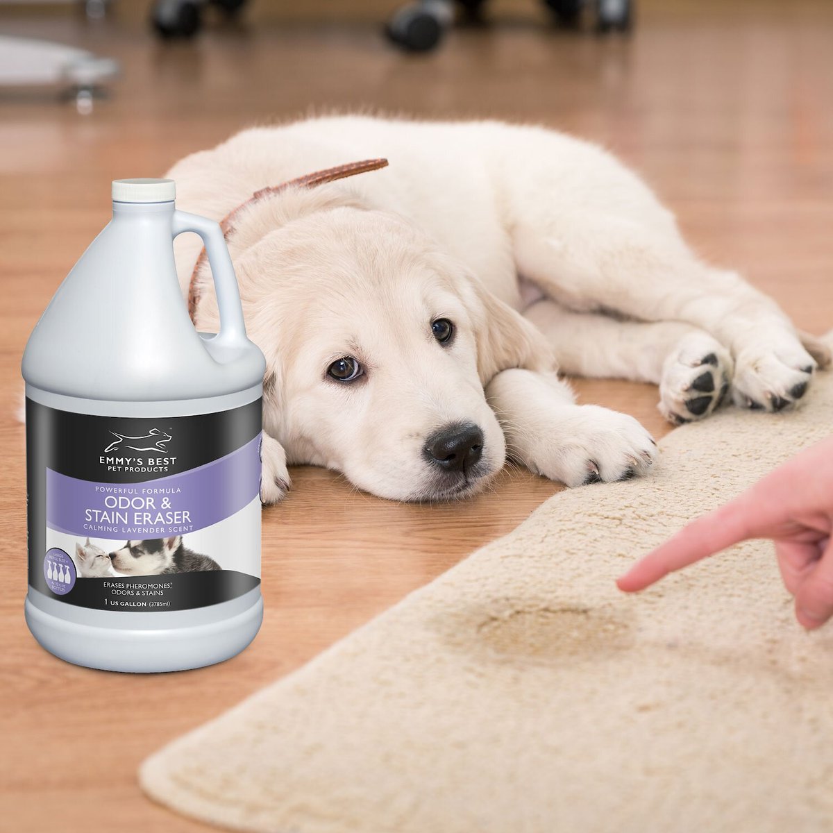 Emmy's Best Pet Products Enzyme-Based Pet Odor and Stain Eraser