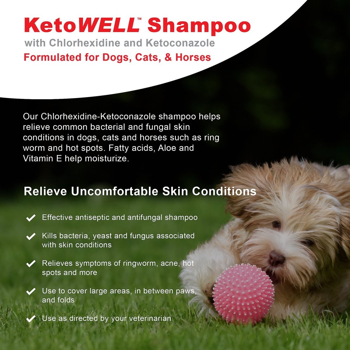 VetWELL KetoWell Antiseptic Dog， Cat and Horse Shampoo