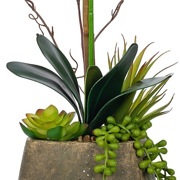 Singlestem Artificial Real Touch Silk Orchid with Succulents in Grey Cement Pot