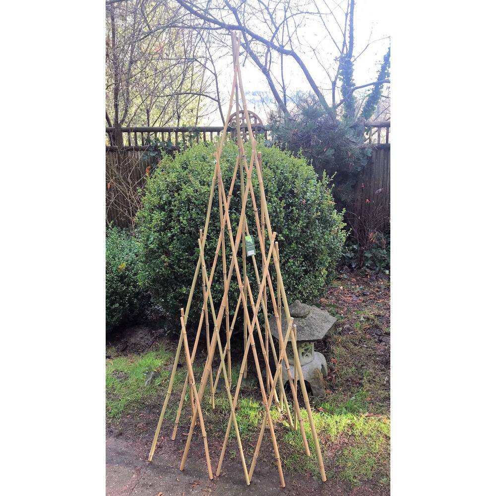 72 in. H Bamboo Teepee Trellis BT-72