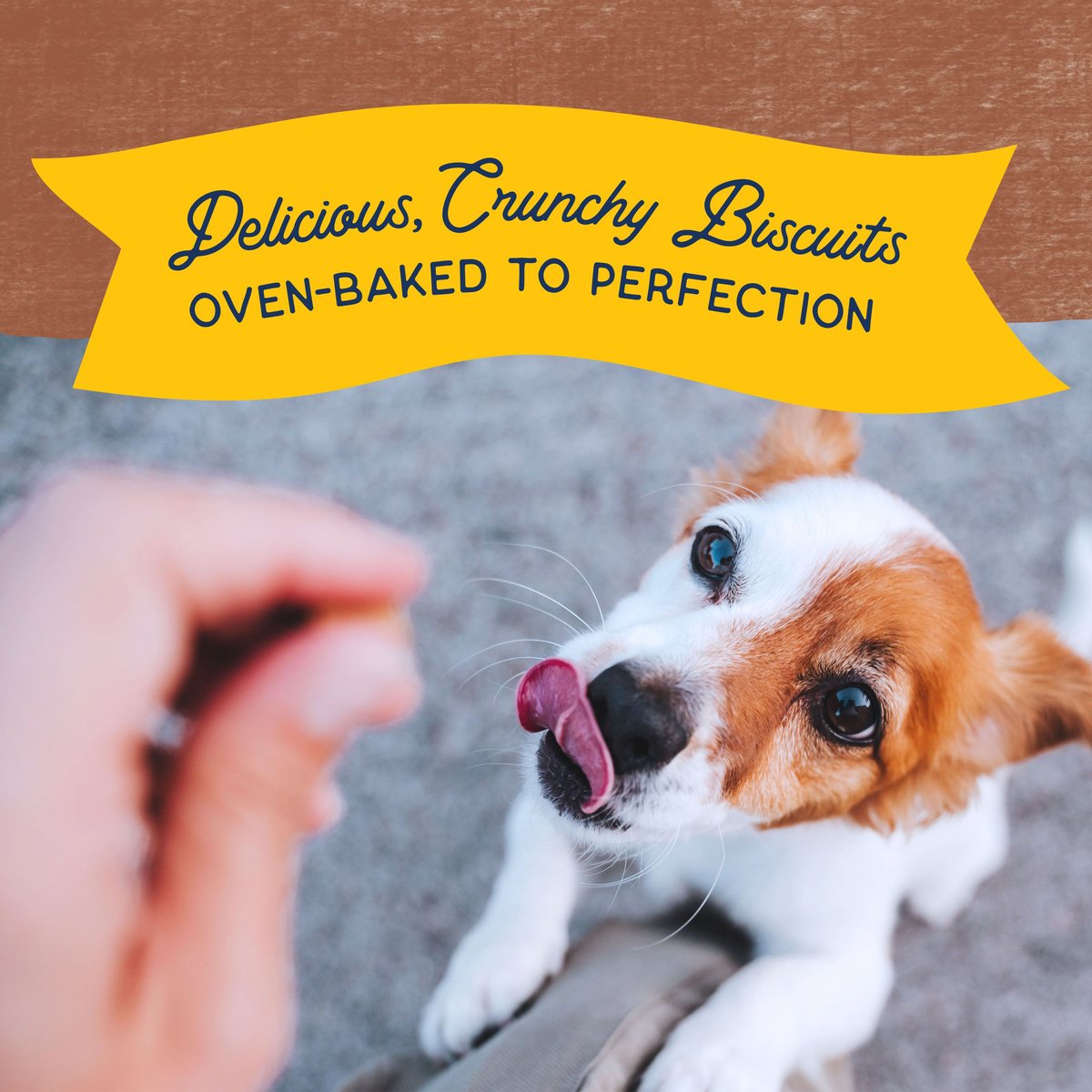 Natural Balance Rewards Crunchy Biscuits With Real Beef Small Breed Dog Treats