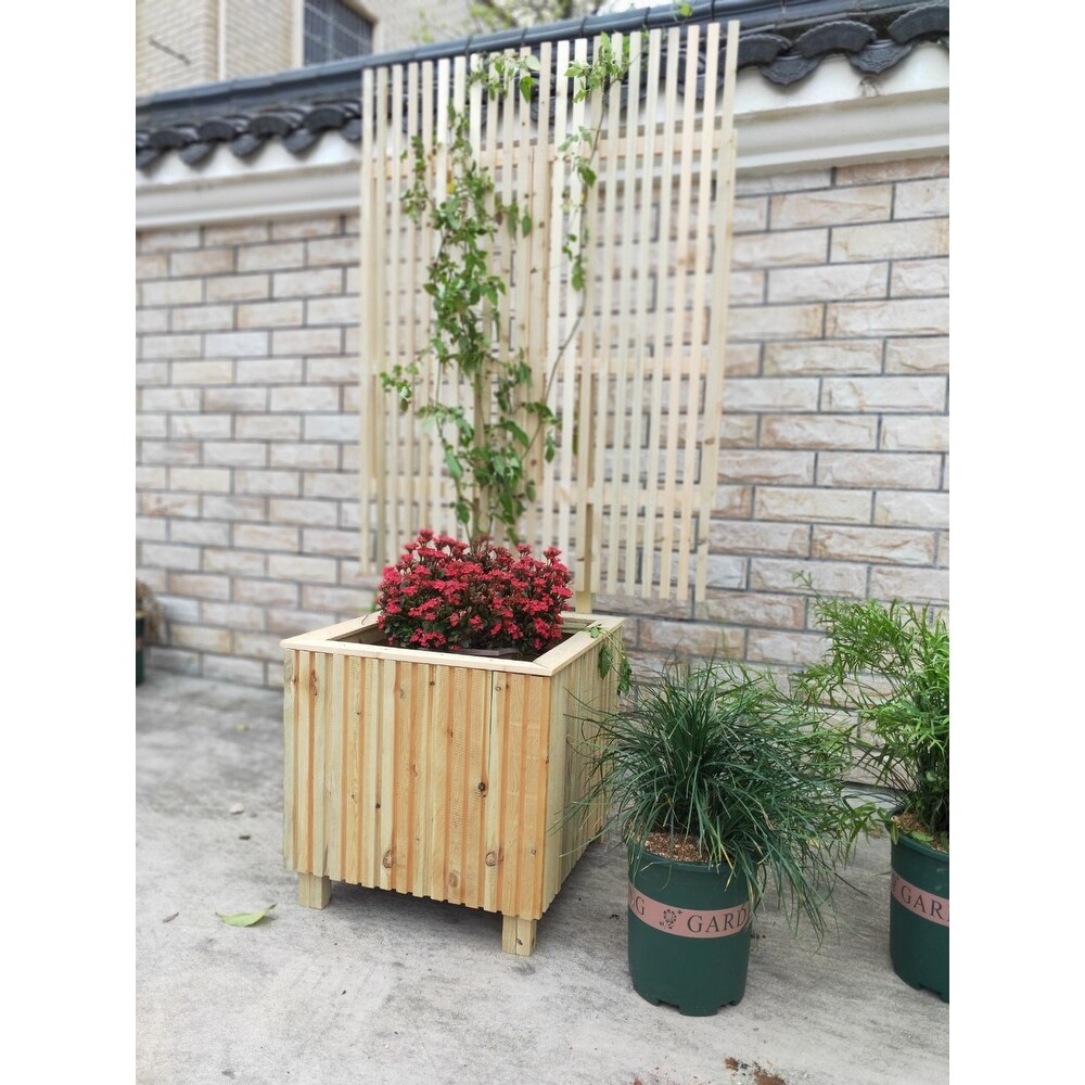 70in x 20in x 20in Wooden Cafe Barrier Planter with Trellis   1 Set