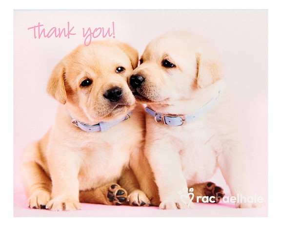 BIRTH5000 232503 Glamour Dogs Thank You Notes by R...