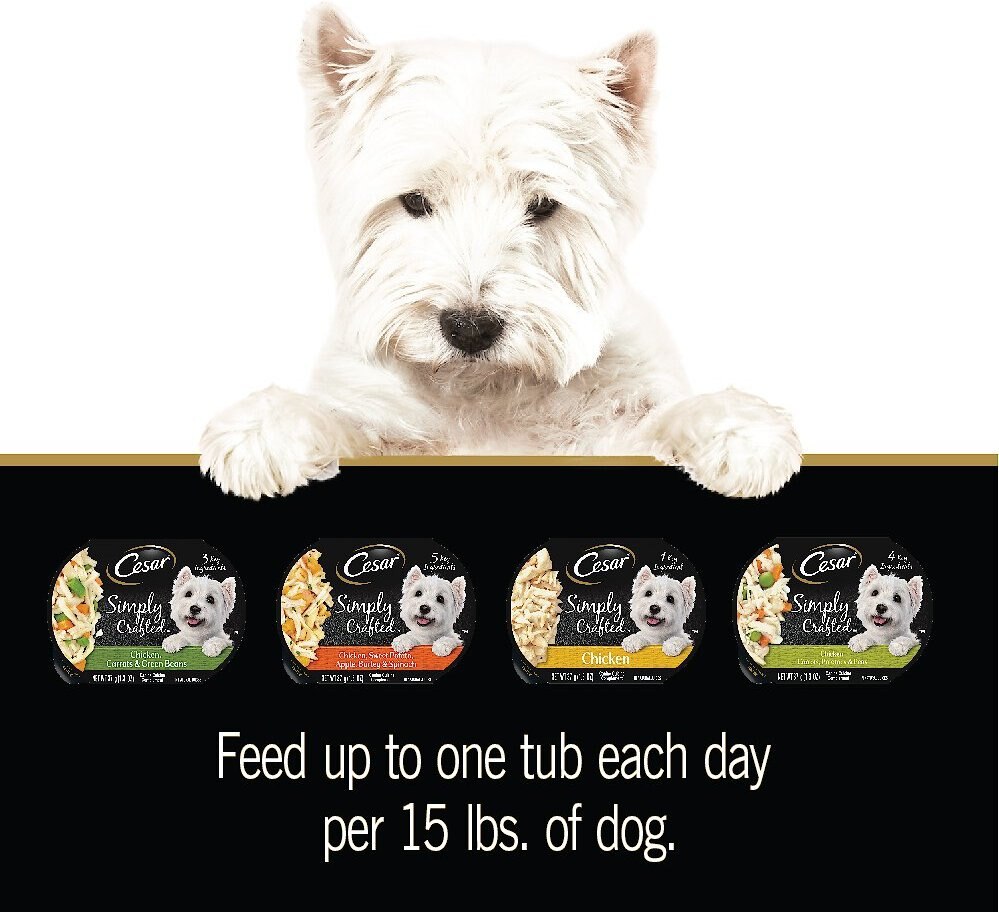 Cesar Wholesome Bowls Soft Wet Adult Dog Food Variety Pack， 3-oz bowl， case of 22