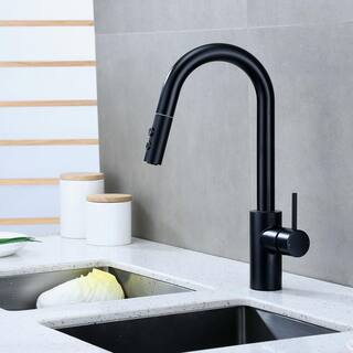 LUXIER Single-Handle Pull-Down Sprayer Kitchen Faucet with 2-Function Sprayhead in Matte Black KTS21-TM