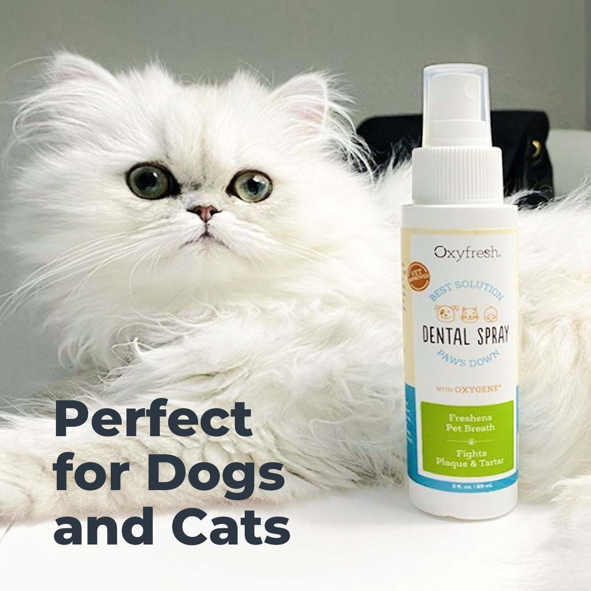 Oxyfresh Dog and Cat Dental Spray