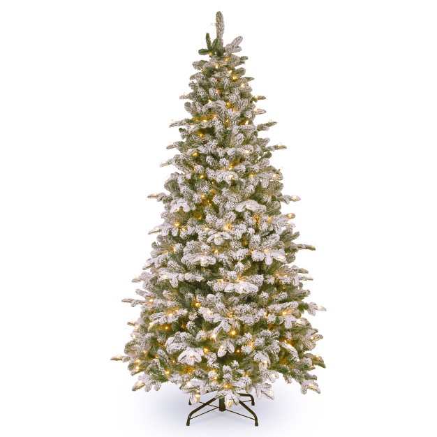 National Tree Company 6.5 Ft. Snowy Everest Fir Medium Tree With Clear Lights