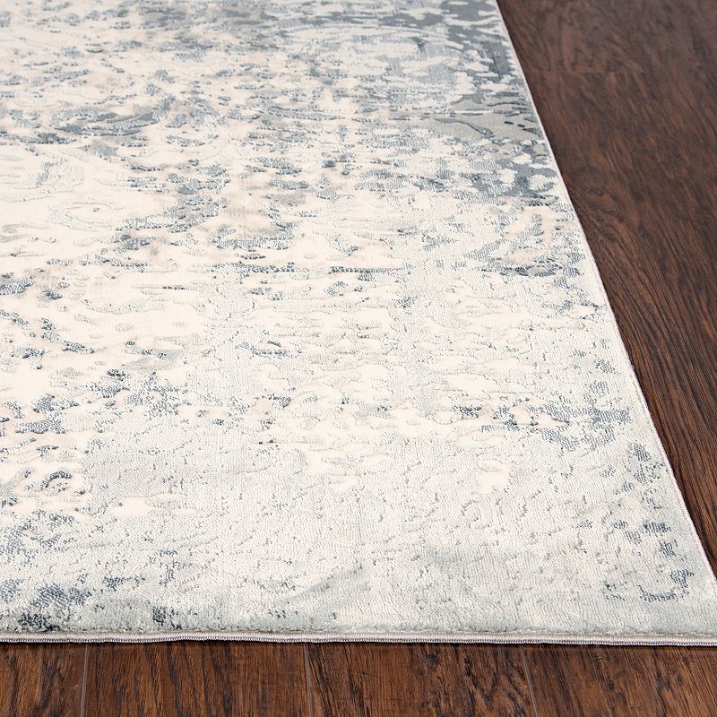 Rizzy Home Chelsea Distressed Scroll Rug