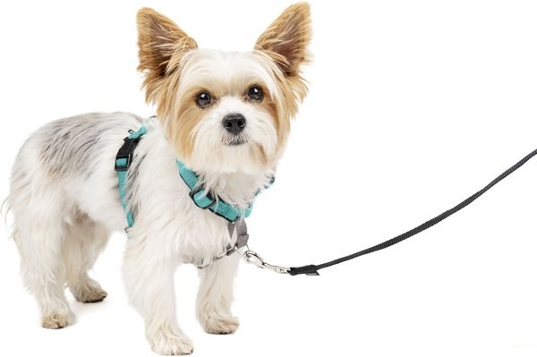 PetSafe 3-in-1 Reflective Dog Harness with Car Control Strap