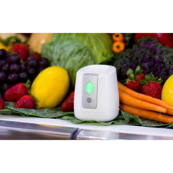 GreenTech Environmental Filterless Air Purifier for the Refrigerator with Rechargeable Battery PureAir Fridge