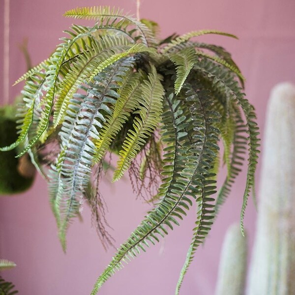 RusticReach Artificial Hanging Fern Plant Décoration