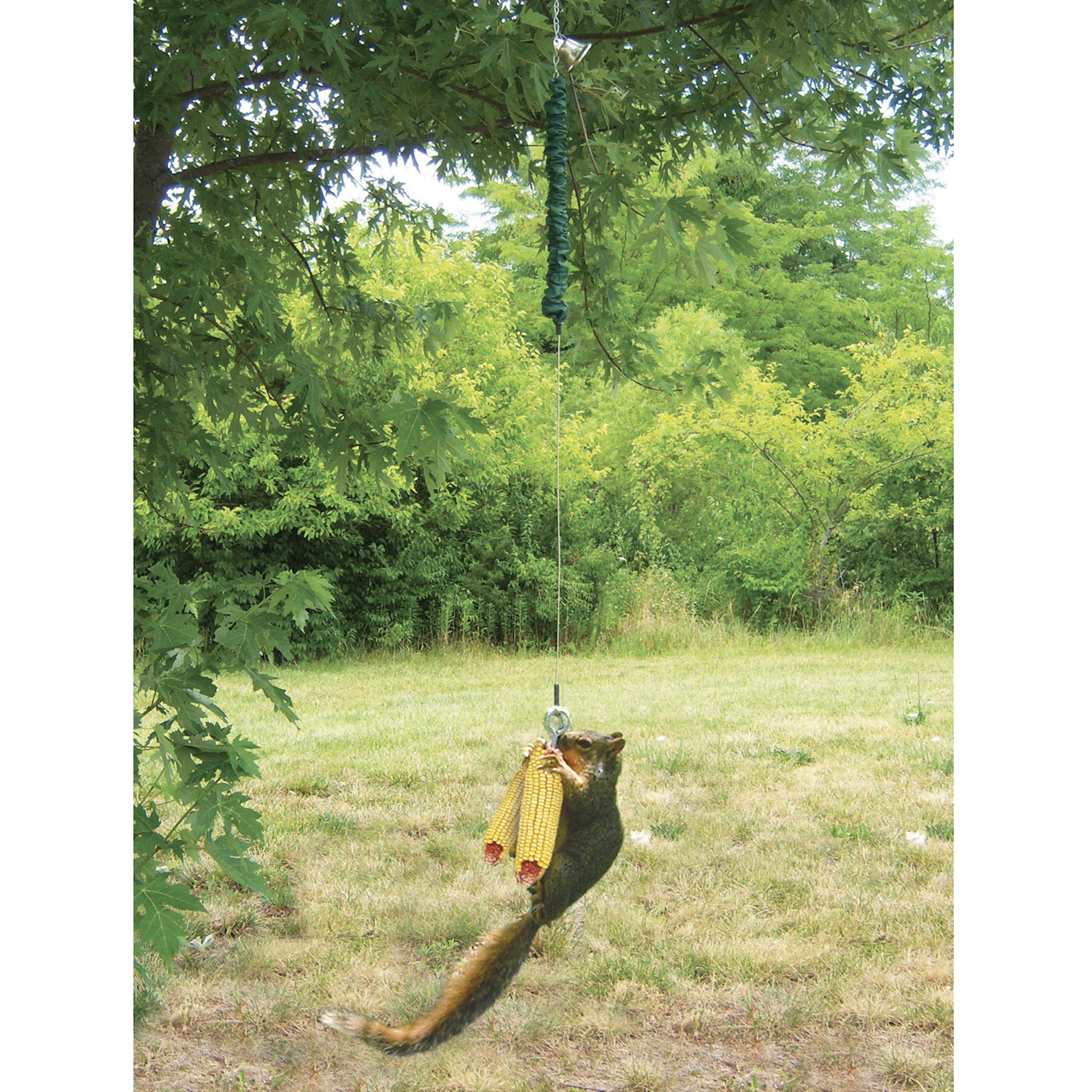 Songbird Essentials Squngee Squirrel Feeder Bungee Corn Feeder with Bell