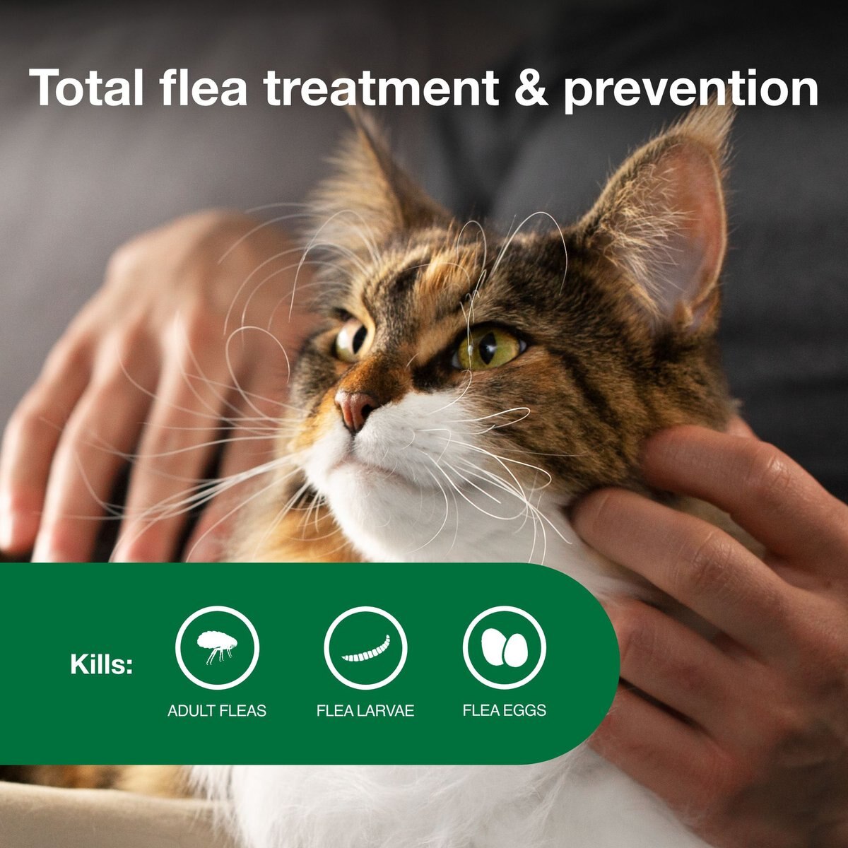 Advantage II Flea Spot Treatment for Cats， over 9 lbs