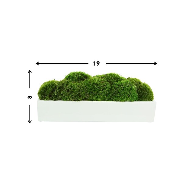 Mood Moss Arrangement in a Fiberstone Planter